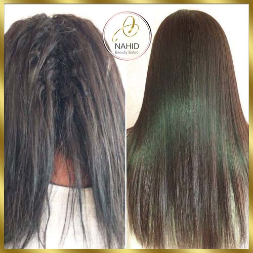 گالری احیا و صافی مو